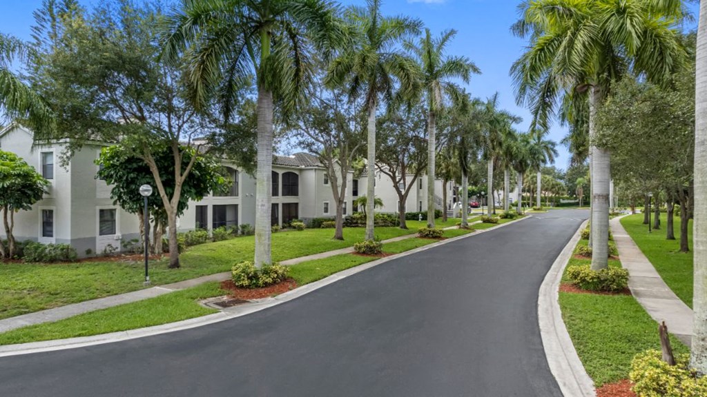 an empty street with palm trees in front of houses