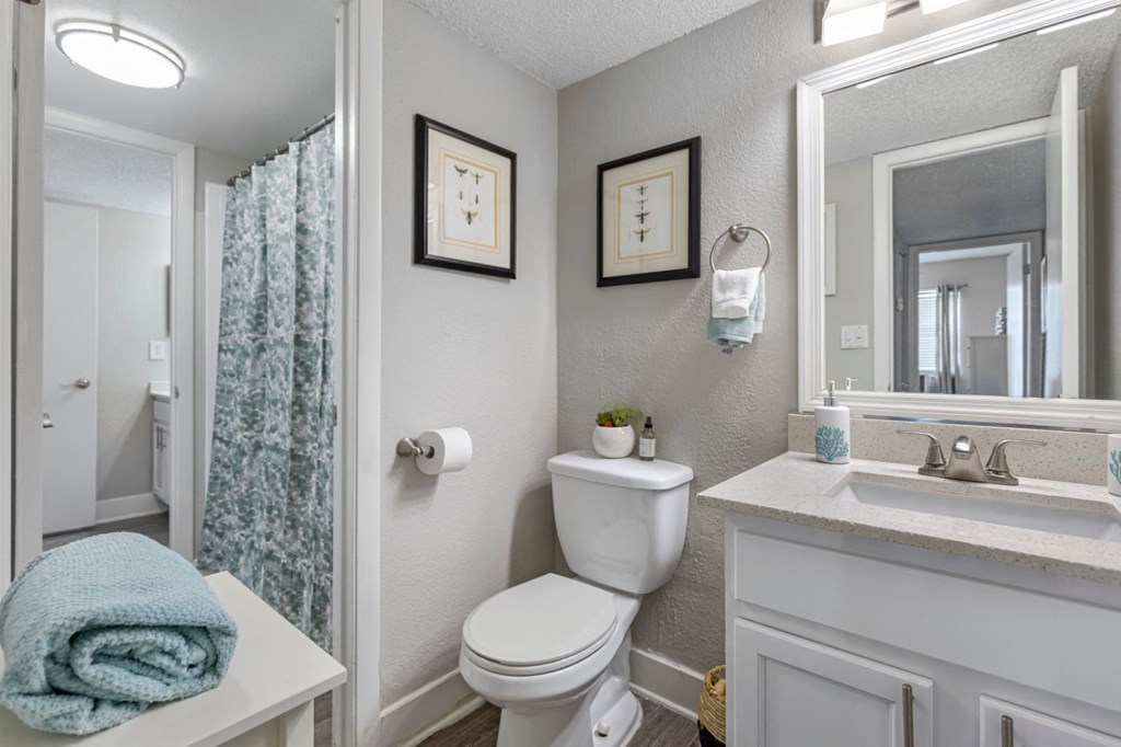a bathroom with a toilet and a sink and a mirror