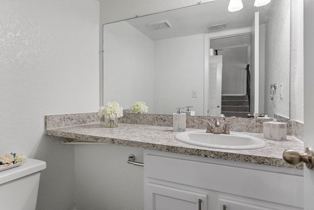 a bathroom with a sink and a mirror