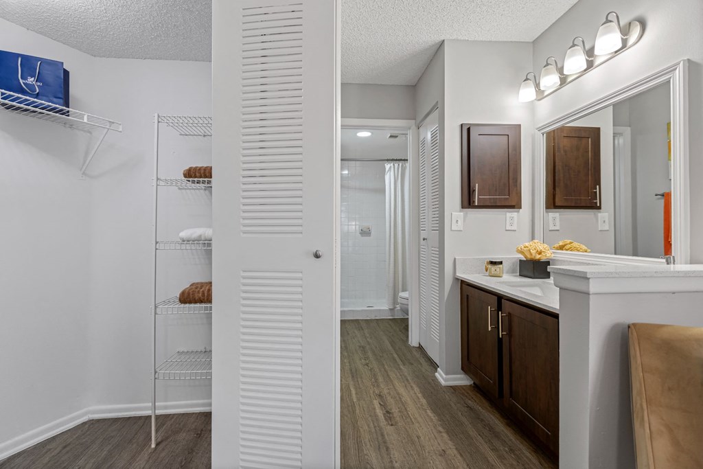 a bathroom with a sink and a mirror and a closet