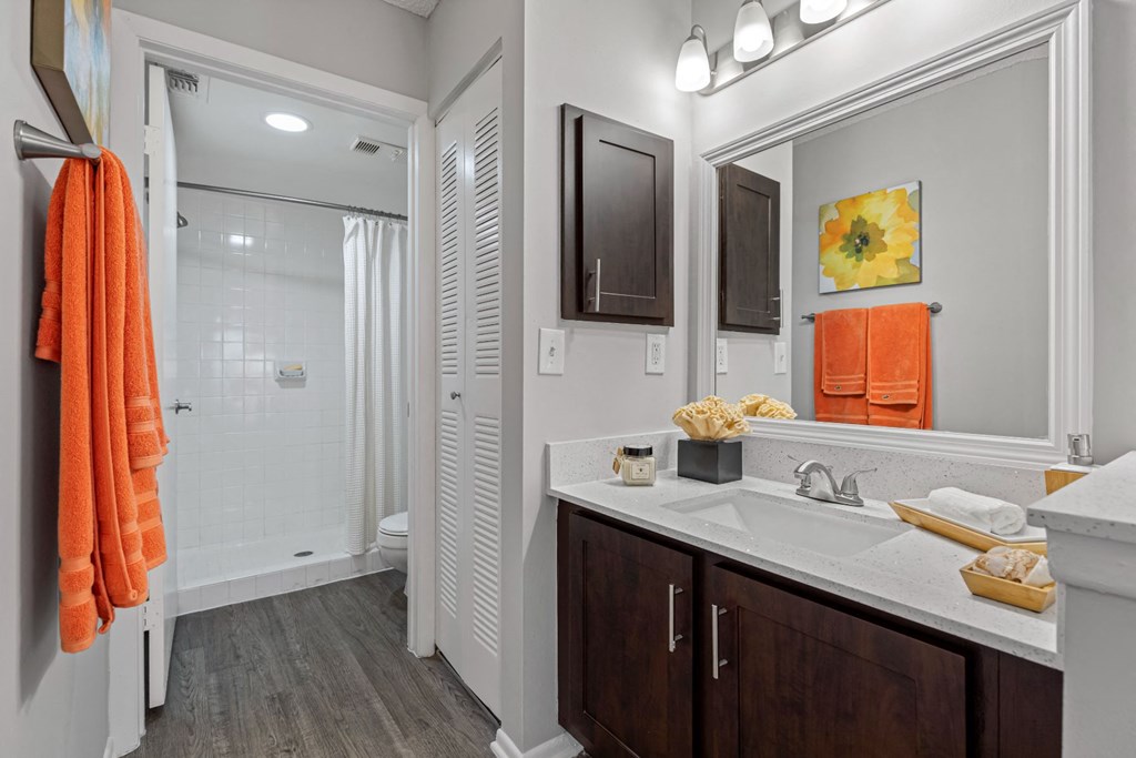 a bathroom with a shower and a sink and a mirror