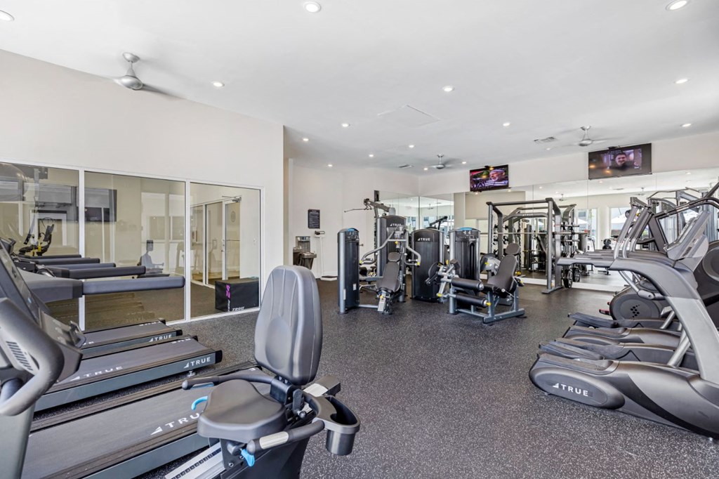 the gym is equipped with cardio equipment and weights