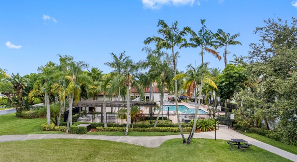 a backyard with palm trees and a swimming pool