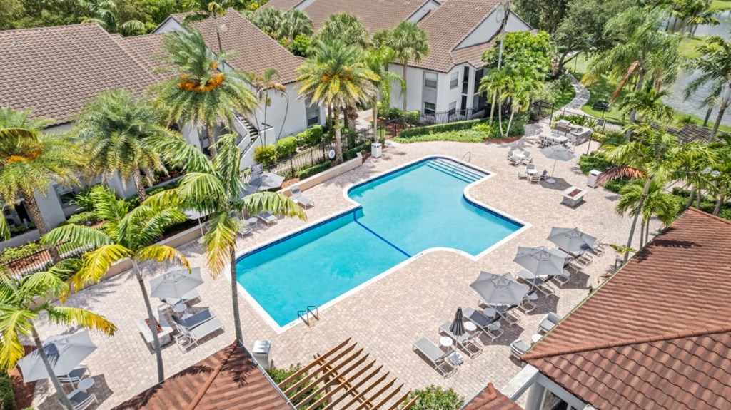 an aerial view of a swimming pool with chairs and palm trees