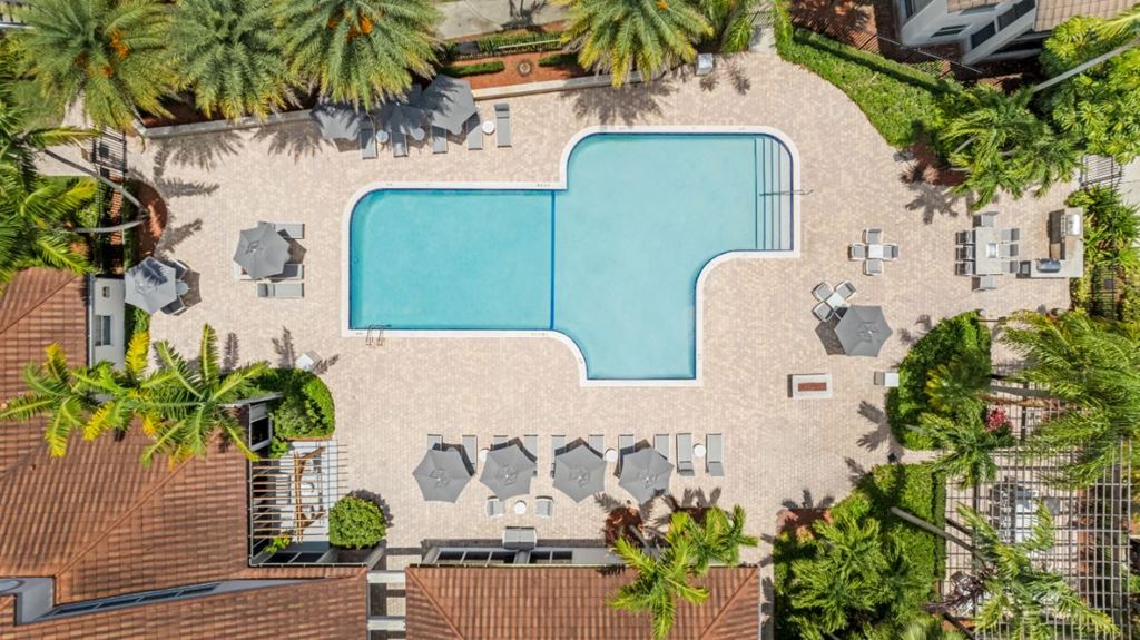 an aerial view of a swimming pool with umbrellas and palm trees