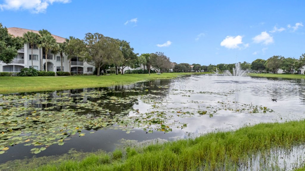 a pond with water lilies in front of a building