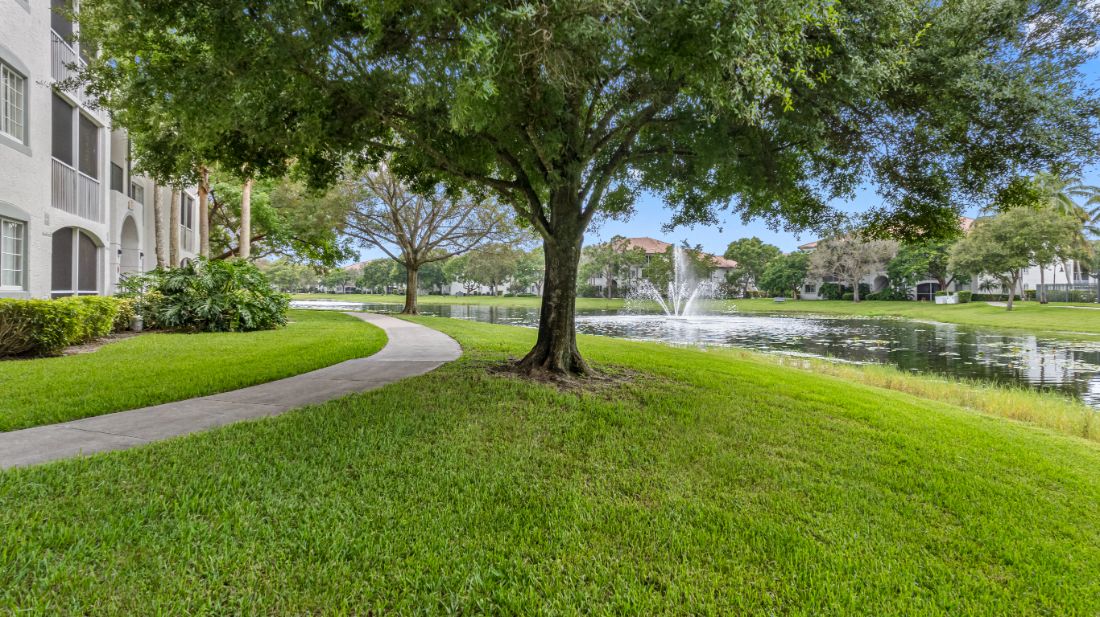 a walkway around a tree next to a pond with a fountain