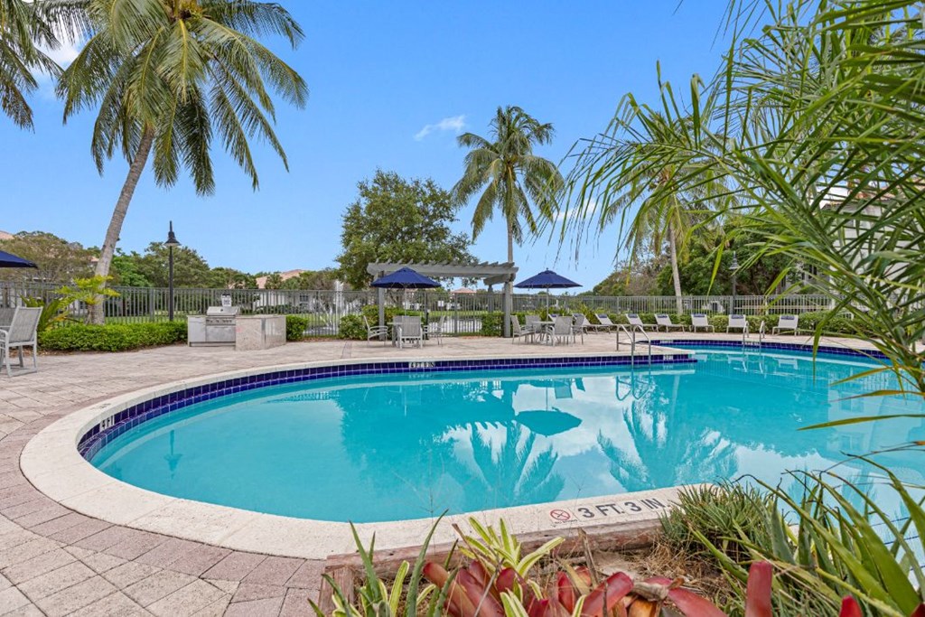 a swimming pool with palm trees and chairs around it