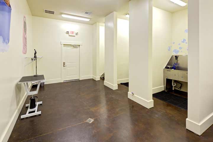 indoor pet grooming salon