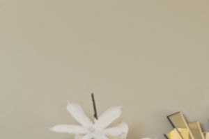 Best 3 Bedroom Apartments In Durham Nc From 725 Rentcafe