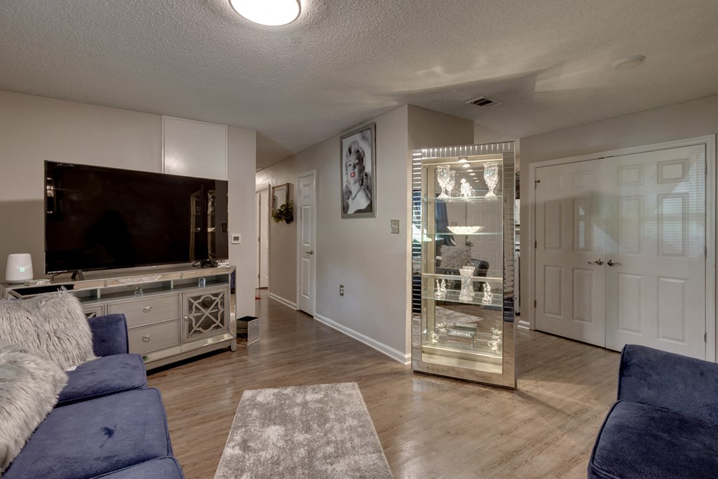 a living room with a couch and a tv