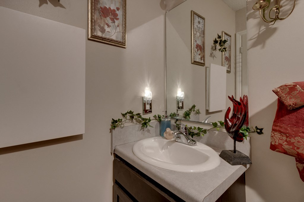 a bathroom with a sink and a mirror