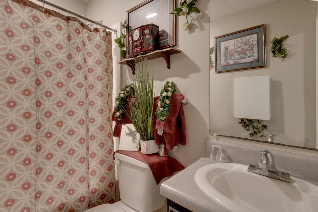a bathroom with a sink and a toilet and a shower
