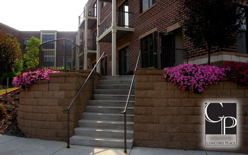 a stone wall with stairs in front of a building with purple flowers
