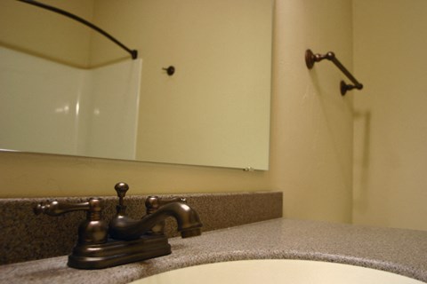 a bathroom with a sink and a mirror