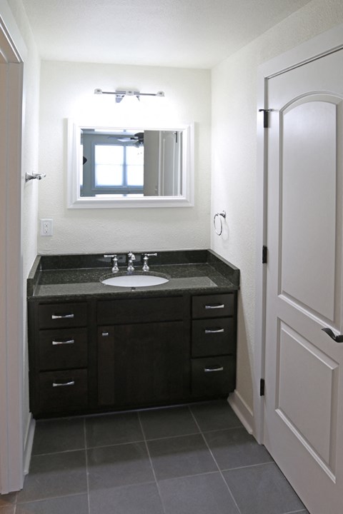 a bathroom with a sink and a mirror
