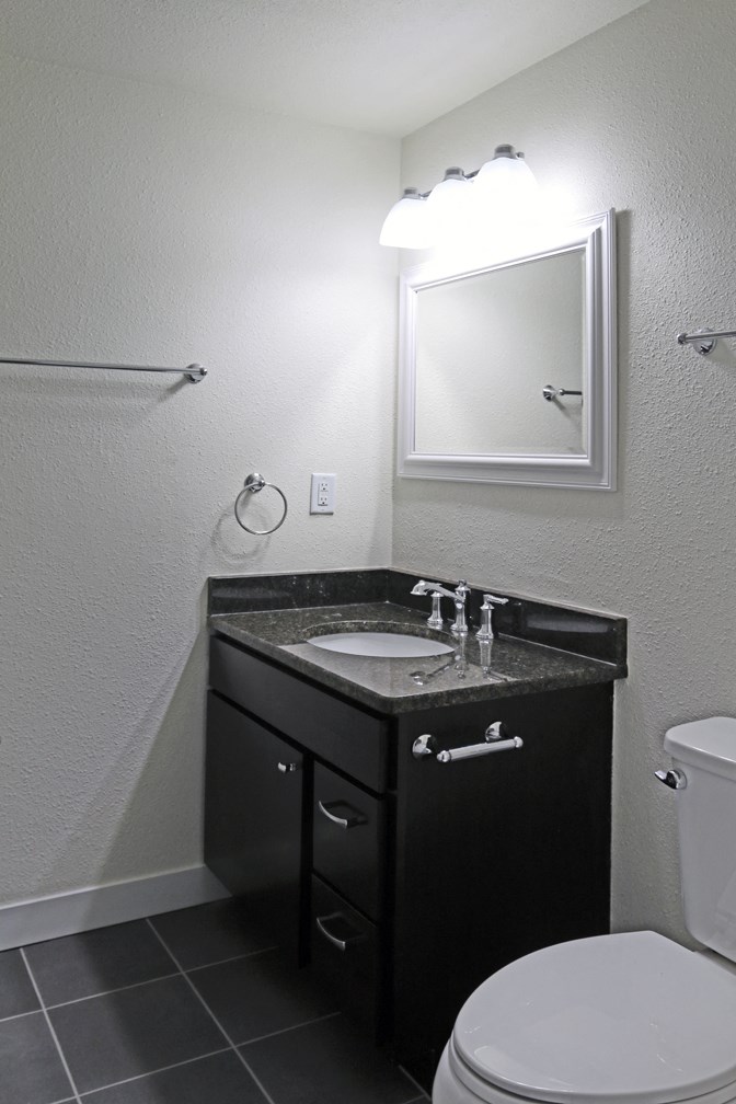 a bathroom with a sink and toilet and a mirror