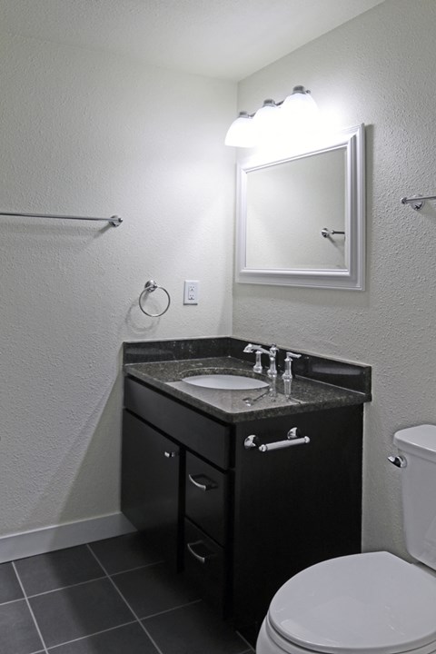 a bathroom with a sink and toilet and a mirror