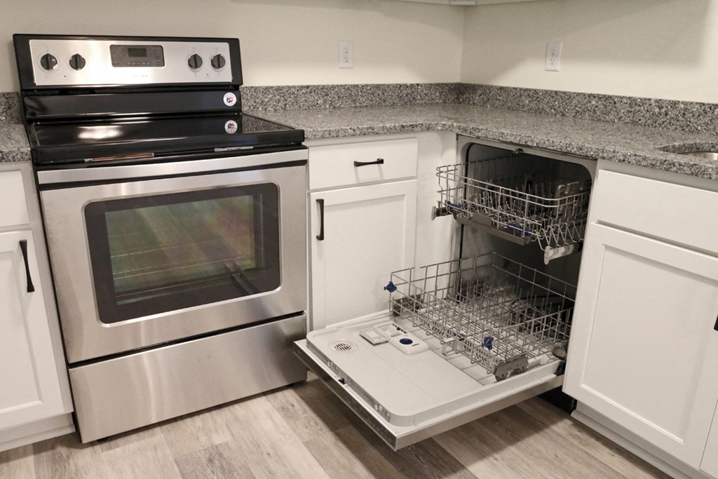 a kitchen with a dishwasher and an oven and a counter top with a sink