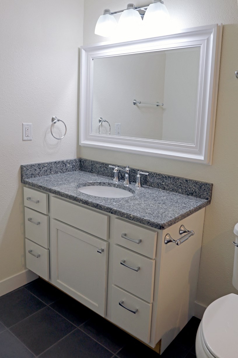 a bathroom with a sink and a mirror and a toilet