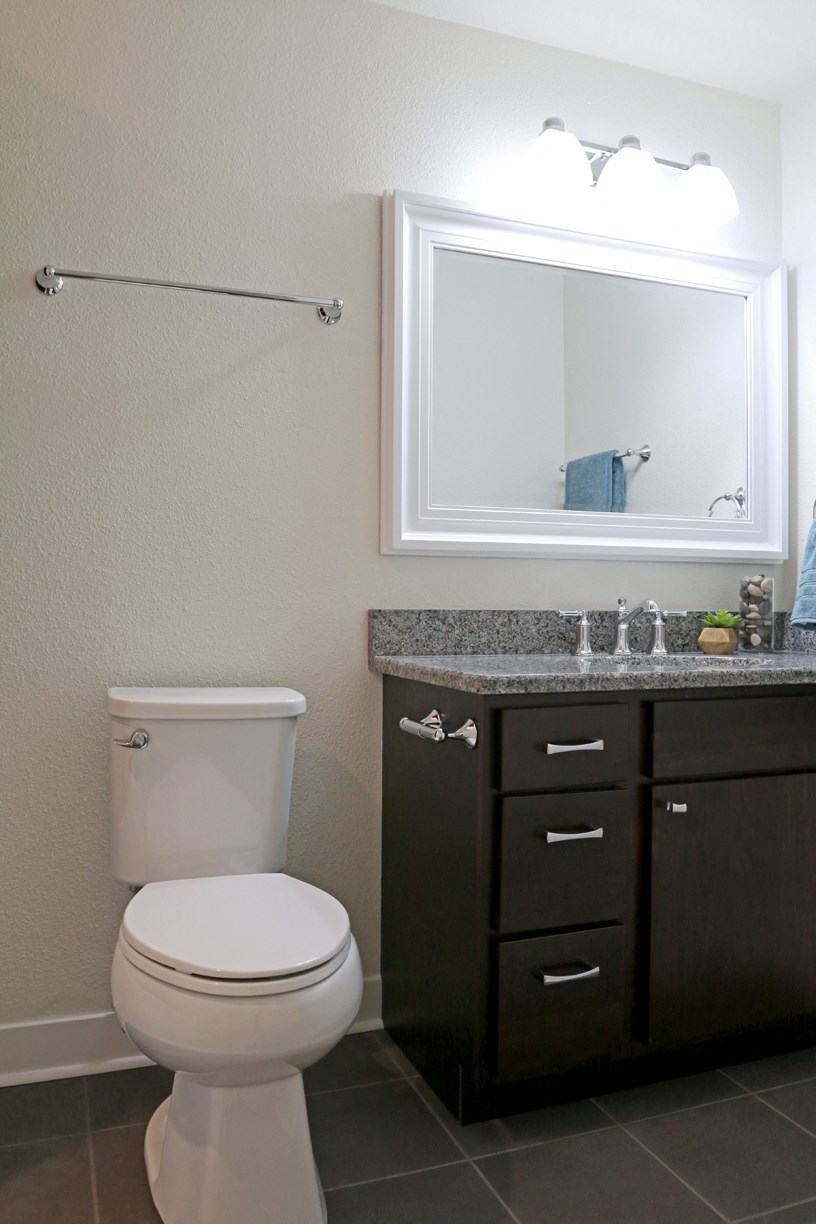 a bathroom with a toilet and a sink and a mirror