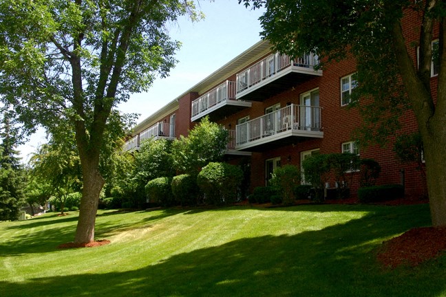 our apartments are on the side of a large tree