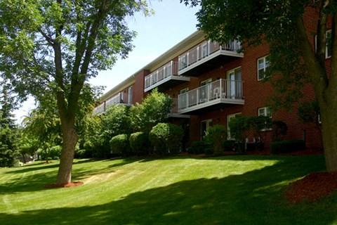 our apartments are on the side of a large tree