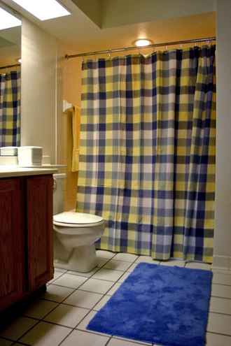 a bathroom with a blue rug and a shower curtain