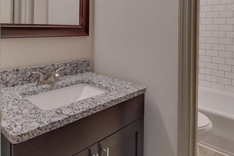 a bathroom with a sink and a toilet and a mirror