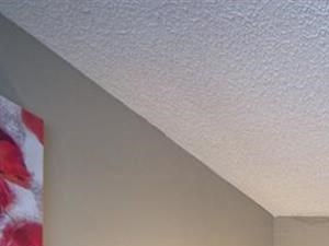 Large Walk in Closet at Courtney Manor