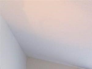 Large Bedroom at Madelyn Oaks