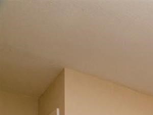 Large Living Room with Ceiling Fan at Hatteras Sound