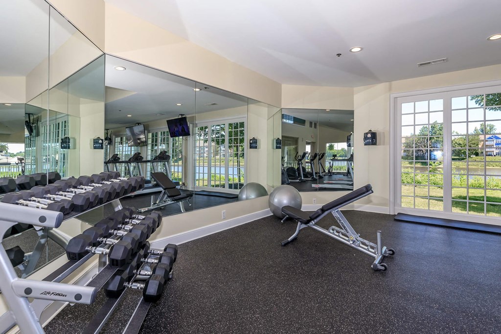 a gym with weights and mirrors in a luxury home
