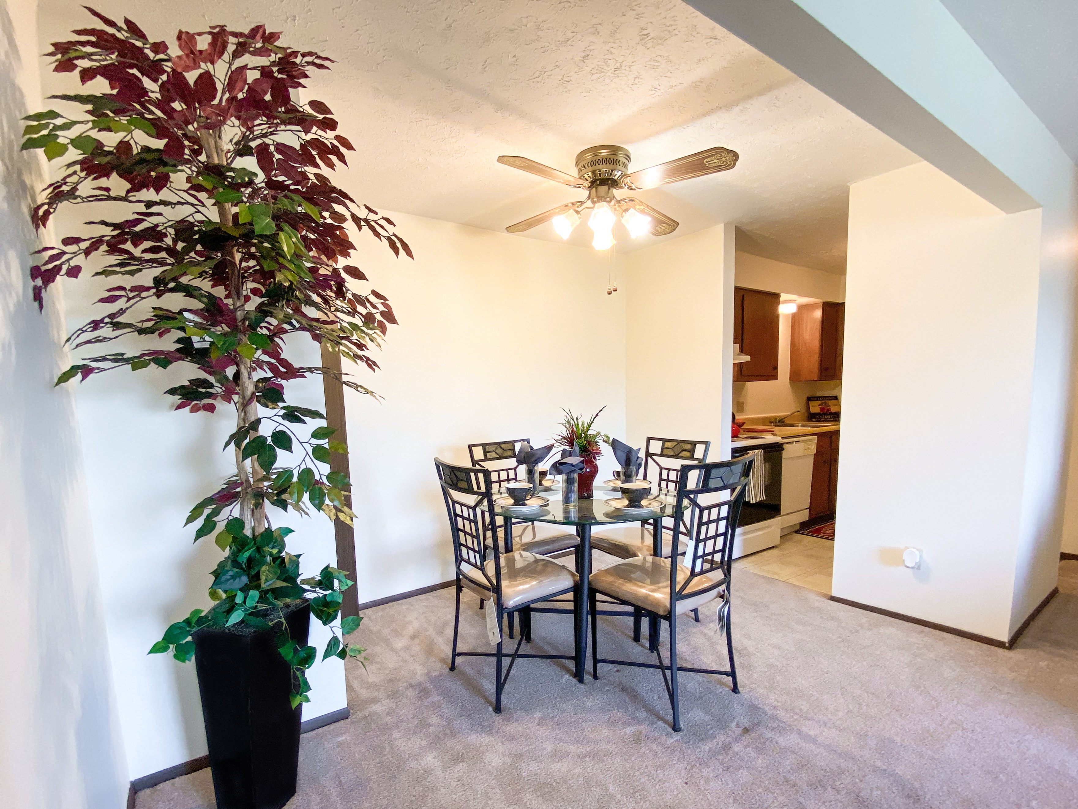 Condor Garden Apartments Apartments in Elyria, OH