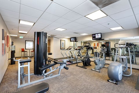 A gym with a variety of equipment including a treadmill, weights, and a bench press.