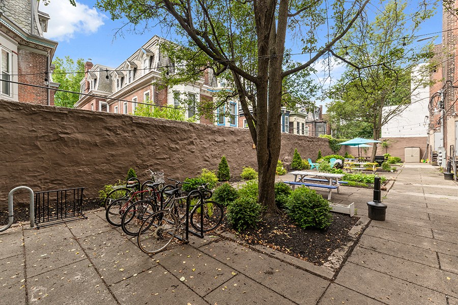 a park with bikes parked next to a tree