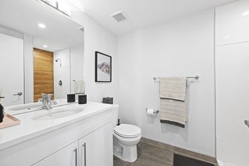 Gorgeous modern bathroom with white sink and vanity and vinyl hardwood floors - Photo Gallery 10