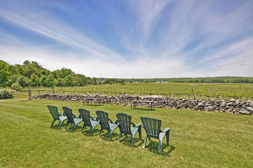 a row of chairs in a field overlooking a vineyard