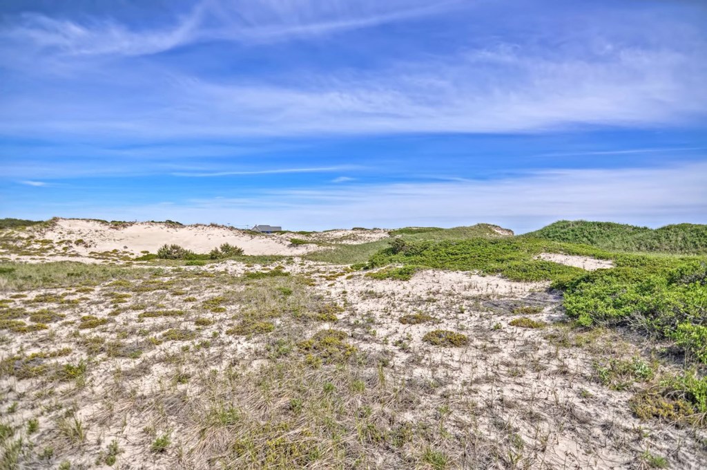 a view of the sand dunes and grass on the beach