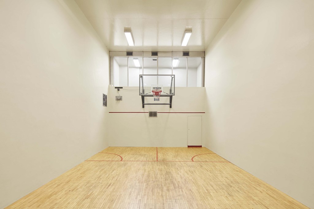 a gym with a basketball court in the center of a room