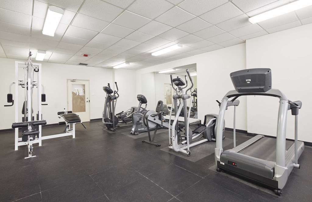 the gym is equipped with cardio equipment and weights