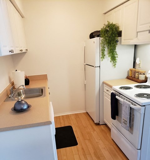 a kitchen with a stove refrigerator and a sink
