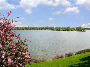 A Lake View From Every Apartment Home! a view of a lake with a pink flowering tree