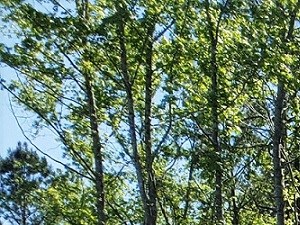 Playground - Photo Gallery 4