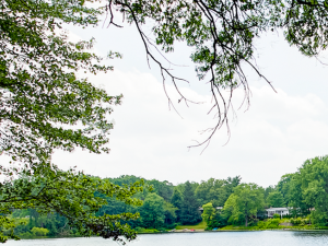 Lake