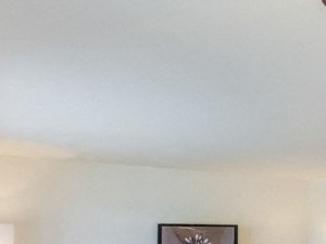 Dining & Living Room