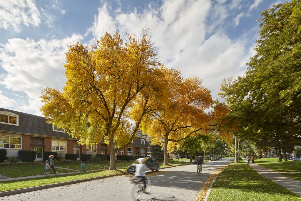 people biking down a street with trees in front of houses