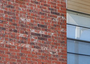 Apartments For Rent Near Covenant Medical Center Rentcafe