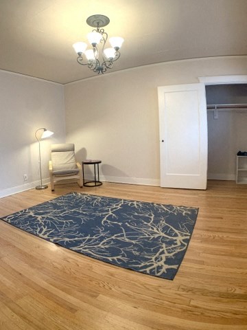a living room with a blue rug and a chair