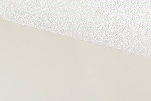 empty living room with light vinyl coloured planking